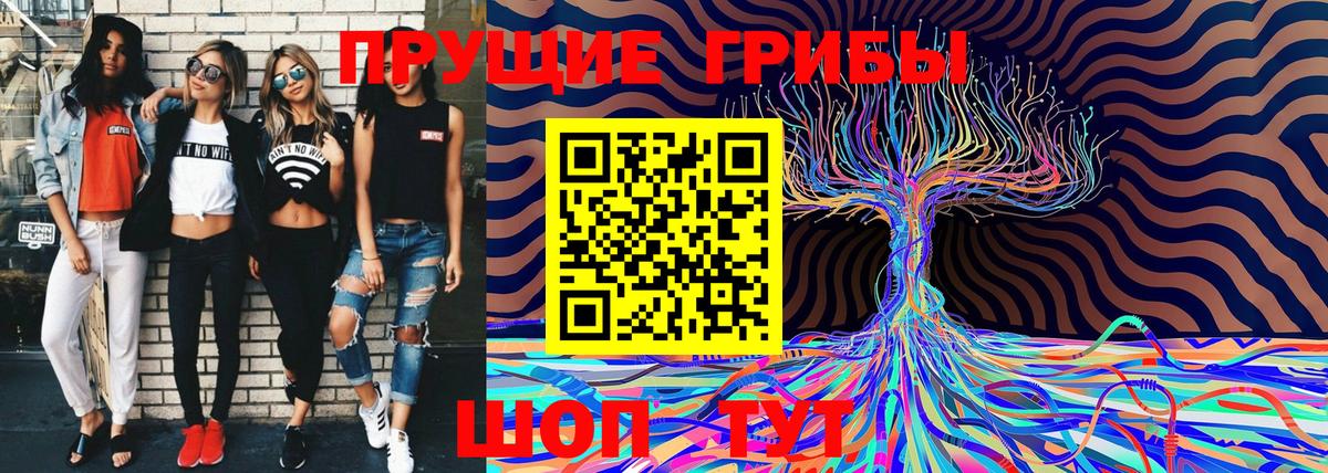 Галлюциногенные грибы Cubensis Торжок